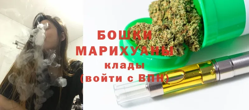 как найти   Гурьевск  Шишки марихуана SATIVA & INDICA 